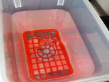 Magnetic stirrer to cleanig resin prints-3