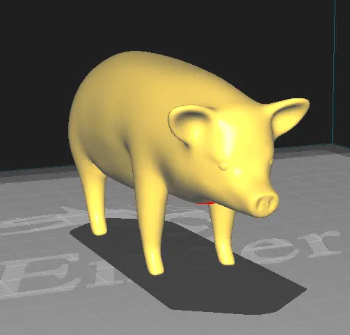 Pig