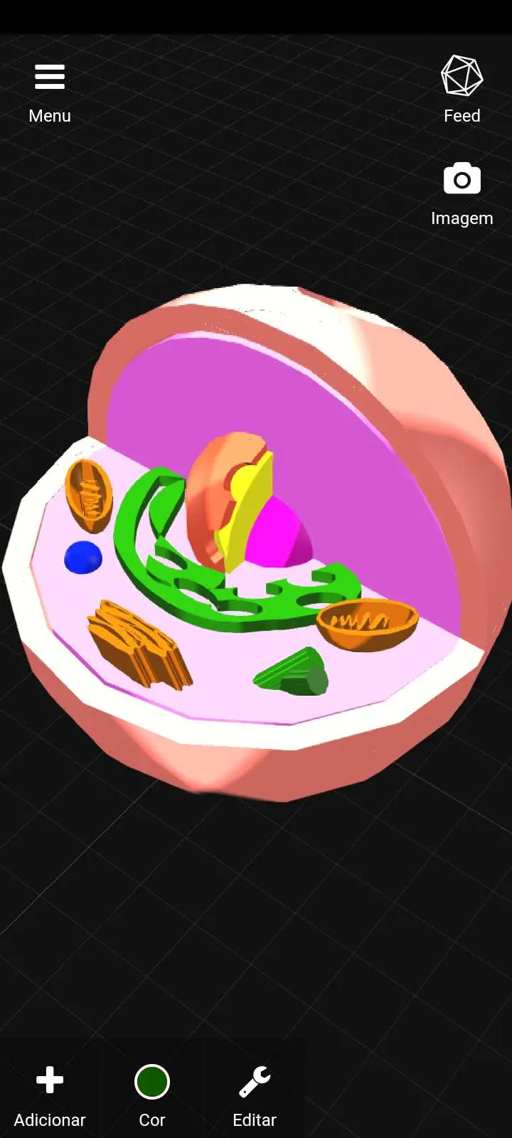 Cell / Célula