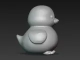 a duck-3