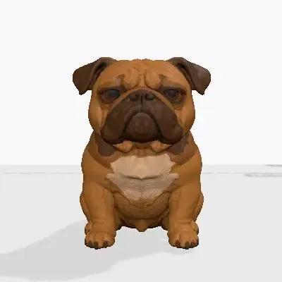 Nilo - Franse bulldog / French bulldog