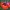 Garten-Spike-Sprinkler