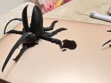 Beetle flexi-2