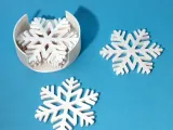 Snowflake coaster-4