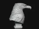 Eagle Bust-5