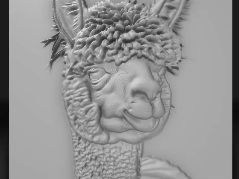 alpaca