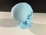 Ice Skull-3