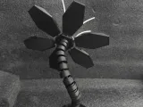bloom 1-4