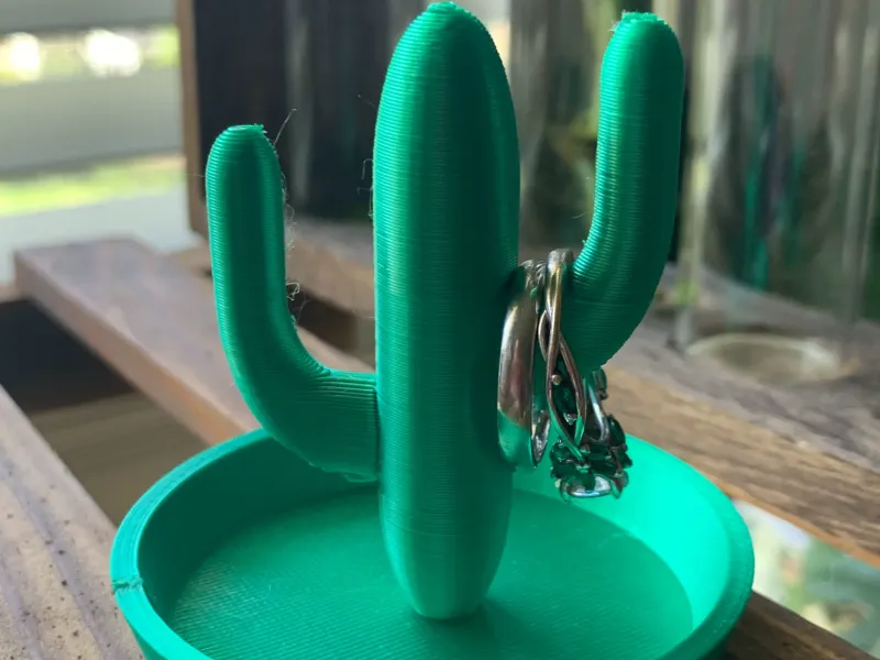 Cactus Ring Holder
