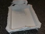 Gothic Crow Tray-1