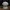 Bust Stewie Griffin (Family Guy)
