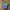 Keychain - Oddish - stl/3mf