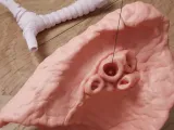 🫁 Human Lung Anatomy – Modular Educational Model-8