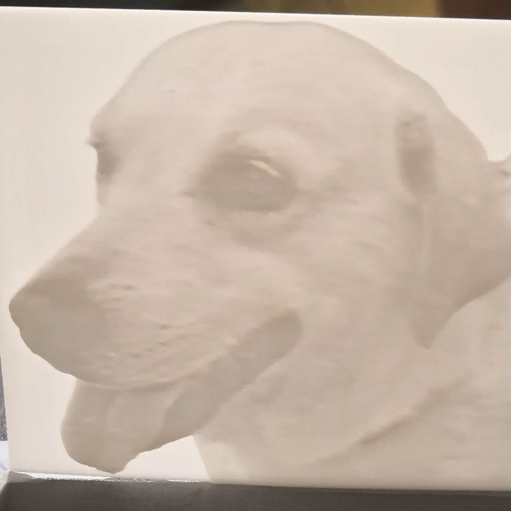 Litho Dog, small, without frame