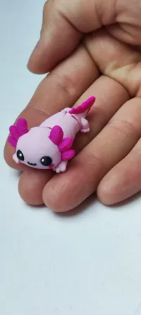 🩷 МОЙ МИНИ АКСОЛОТ 🩷