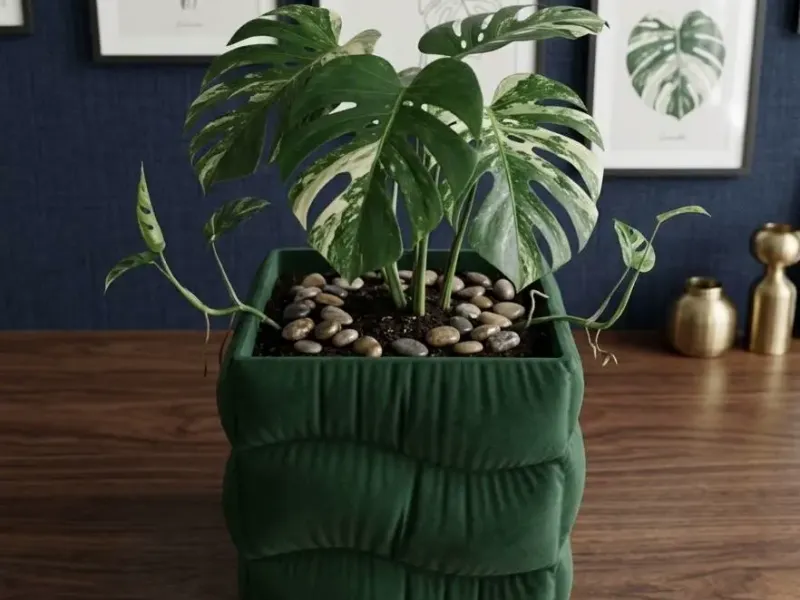 Square Wave Pillow Planter