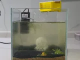 Waterfall Aquarium Filter & Internal Power Filter Scape-2