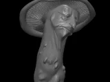 mushroom bust-3