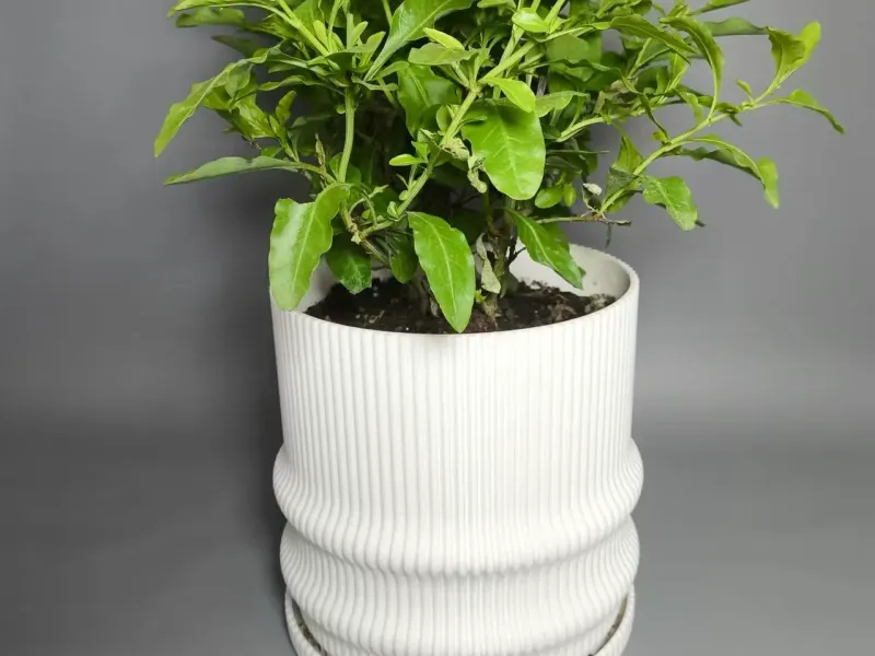 Semplice vaso da fiori con portavasoi e serbatoio integrati