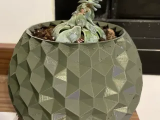 Printable Geodesic Planter