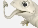 lizard with fly-1