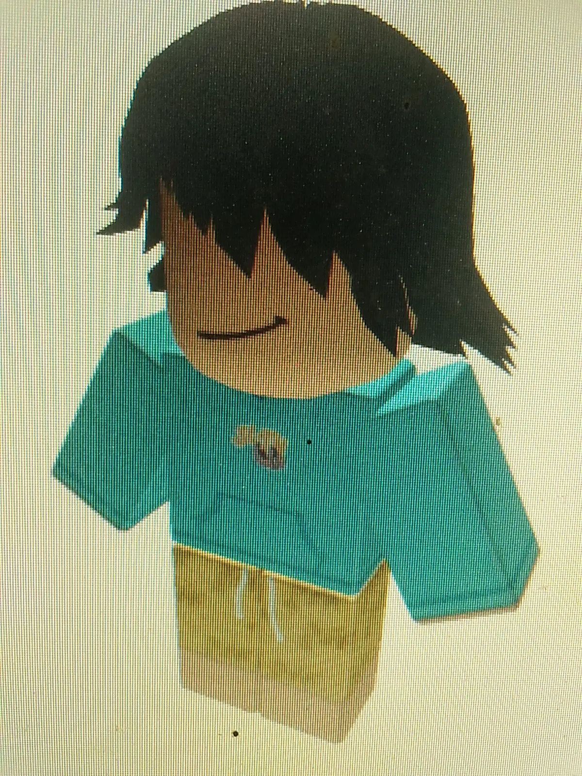 Zackdhanujaya1 roblox shoulder pet