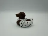 German Shorthaired Pointer Jeep Cruise Duck-4