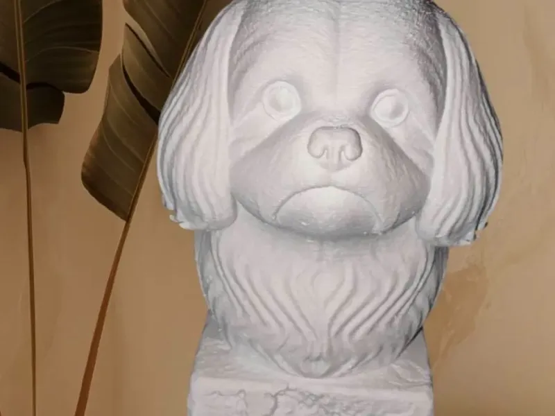 Buste de Chien Shihtzu