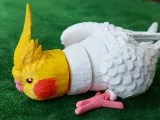 Cockatiel Articulated Figure-7
