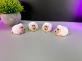 Cute Sheep-3
