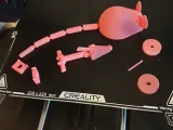 Rat for Cat-1