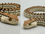 Articulated Rattlesnake | Pre-Painted + Optional Glass Eyes-2