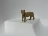 Tigre-1