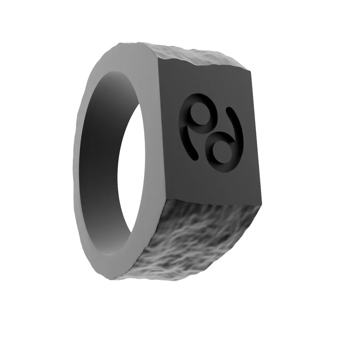 anelli con segni zodiacali