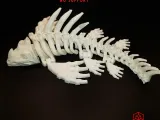 pez skeleton-5
