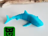Squalo bianco Flexi-0