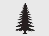 Christmas tree rotating trees-1