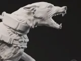 Aggressive dog-1