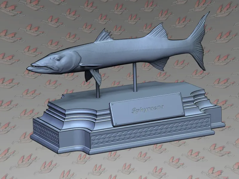 BARRACUDA