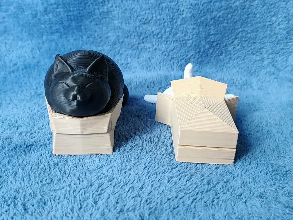 Cats in Boxes