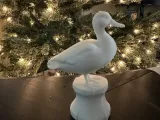 Duck-4