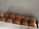 egg tray-2
