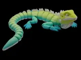 Flexible Iguana-1