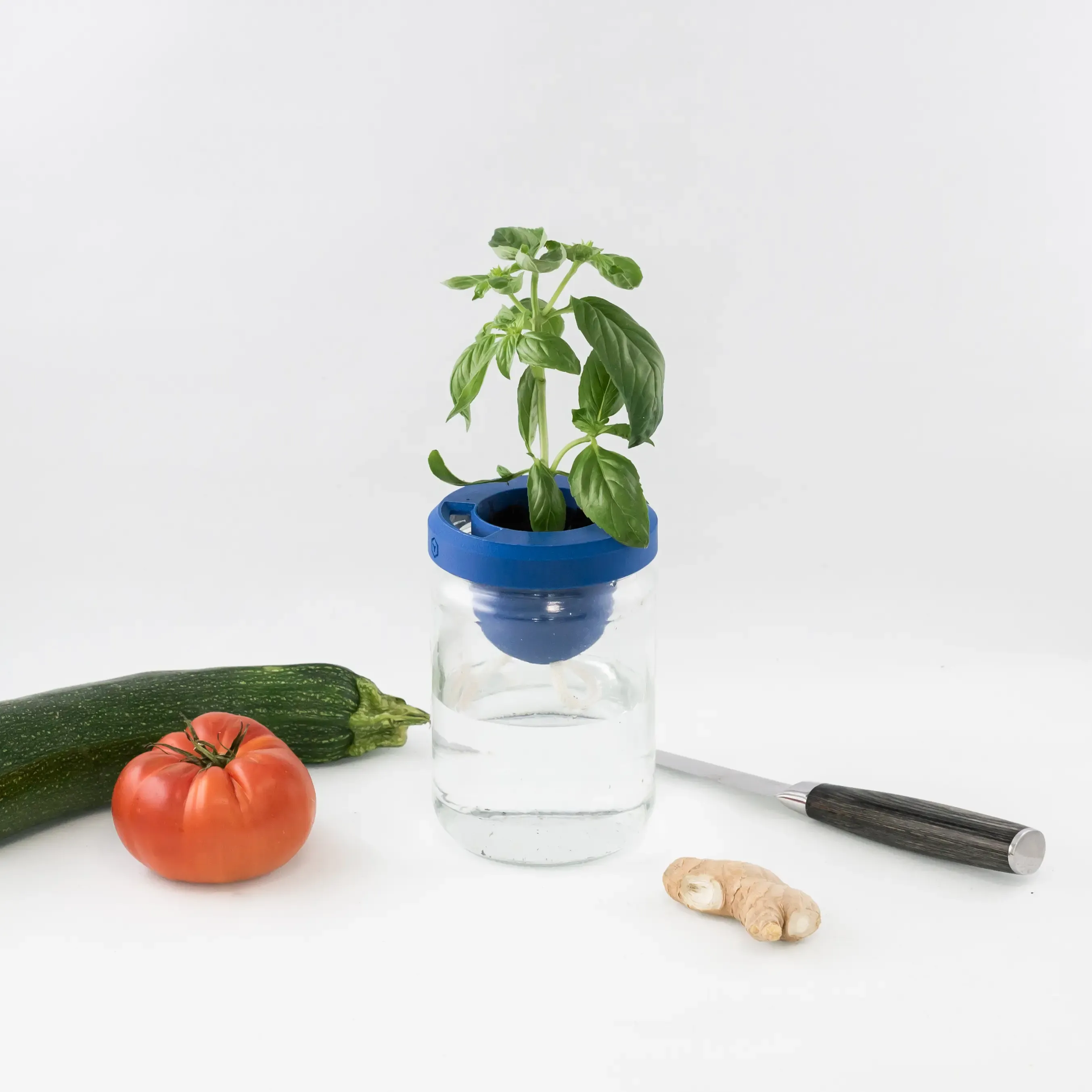 The self-watering upcycled pot