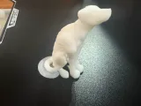 perro galgo-0