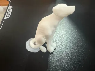 perro galgo