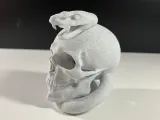 Skull with Snake-4