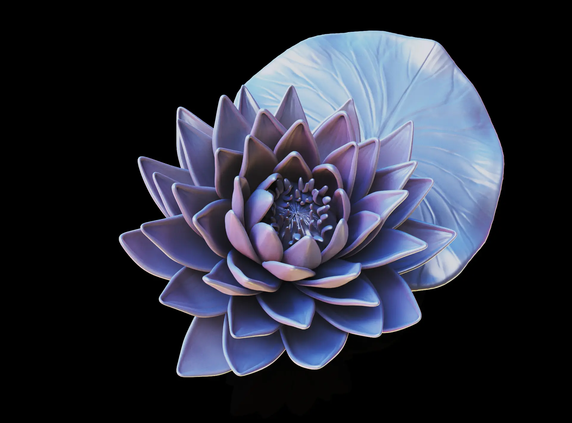 Lotus flower