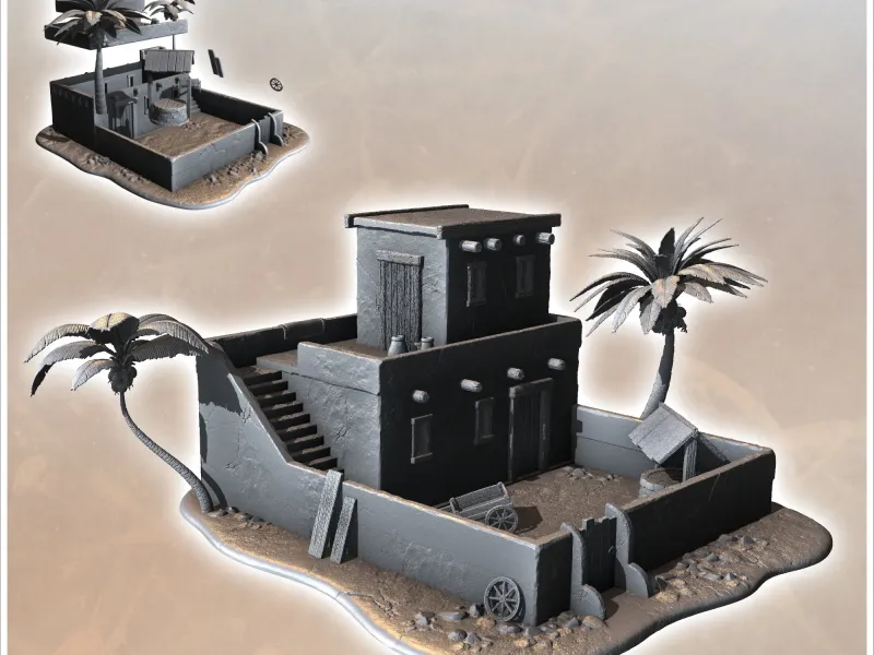 Desert house with palm trees and staircase to roof (6) - min