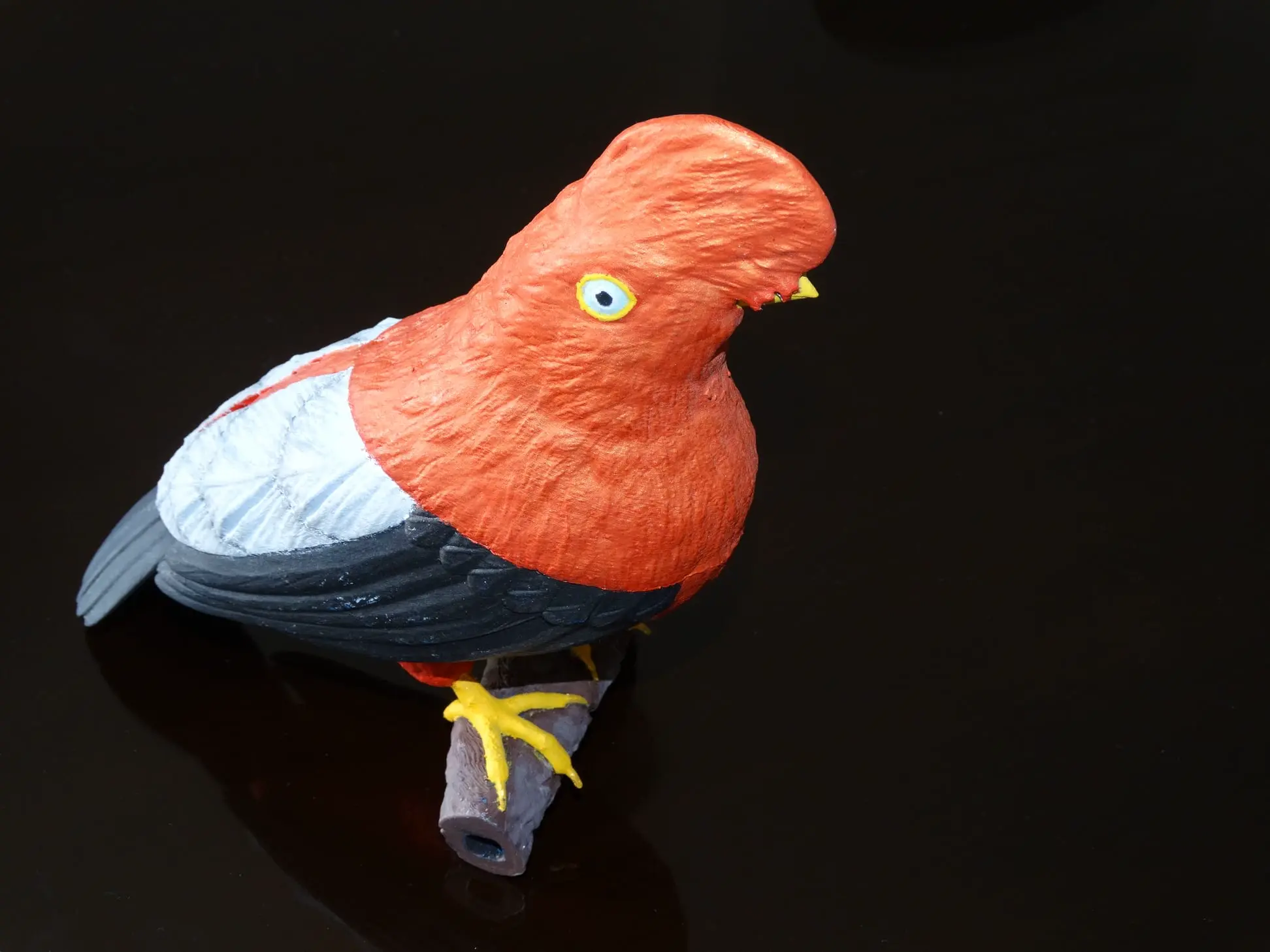 RUPICOLA PERUVIANUS.